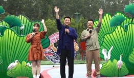 扬州导游爆料视频最新版,揭秘古城背后的秘密与故事